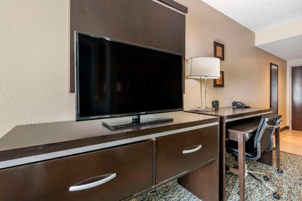 Comfort Suites Fort Lauderdale Airport South & Cruise Port image 11